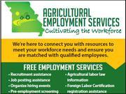 Screenshot of AES Employer Flyer