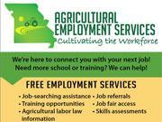 Agricultural Employment Services Job Seeker Flyer