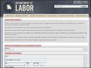 Screenshot of MO LABOR Work Search Waiver