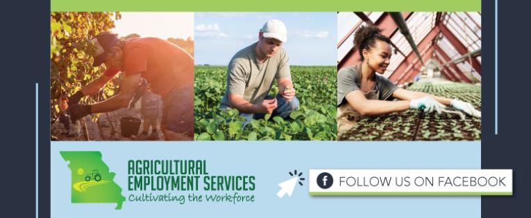 Agricultural Employment Services - Cultivating the Workforce. Follow Us on Facebook